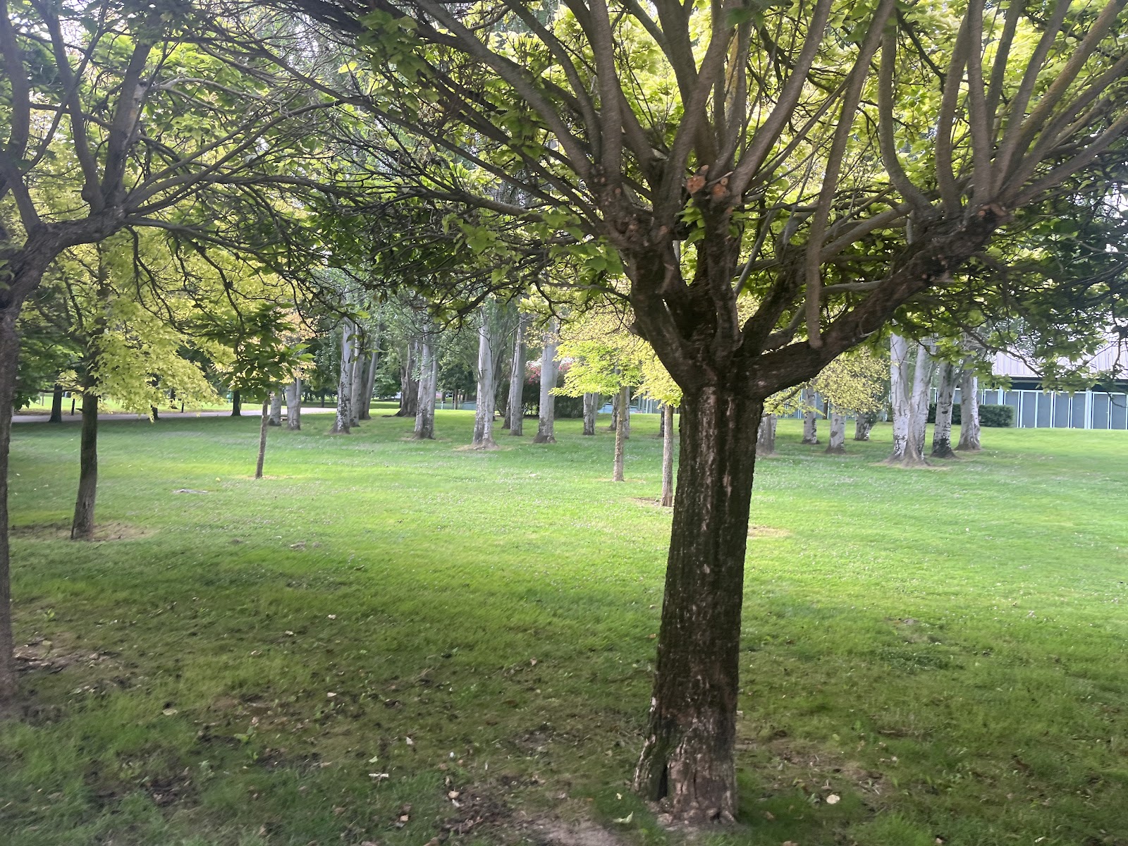 Parque de calistenia y street workout