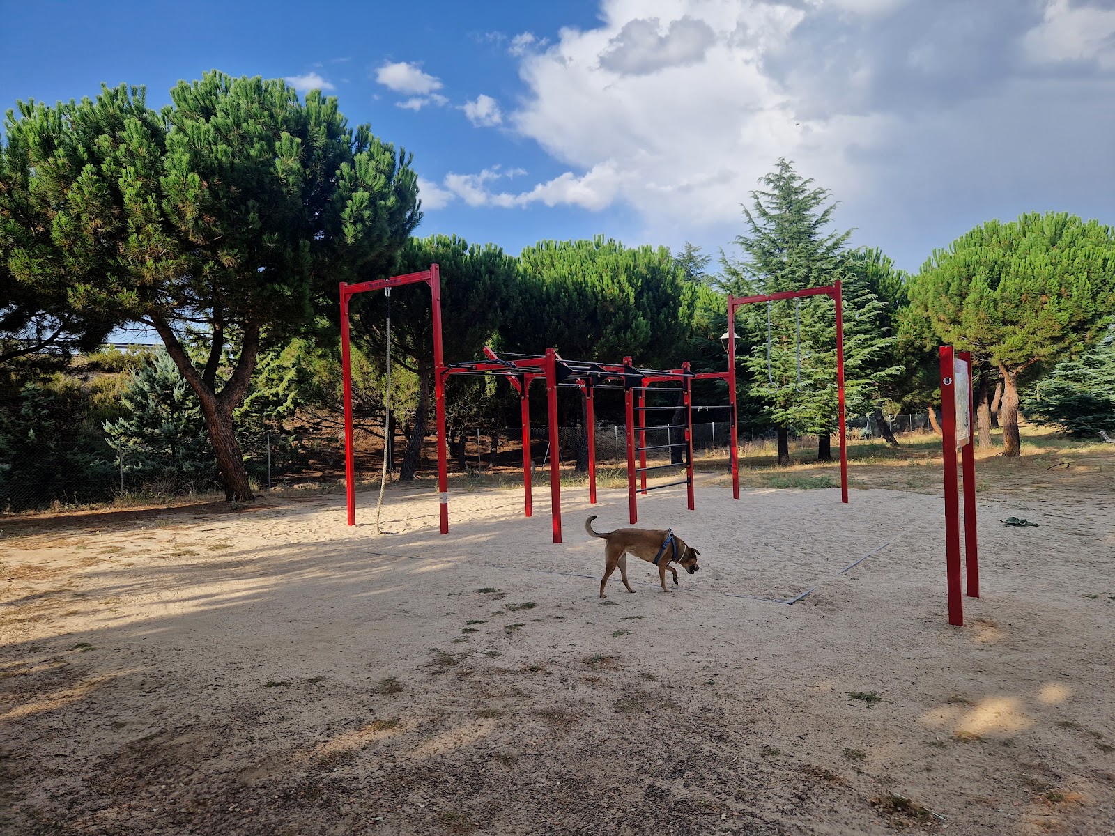 Parque de calistenia zona norte