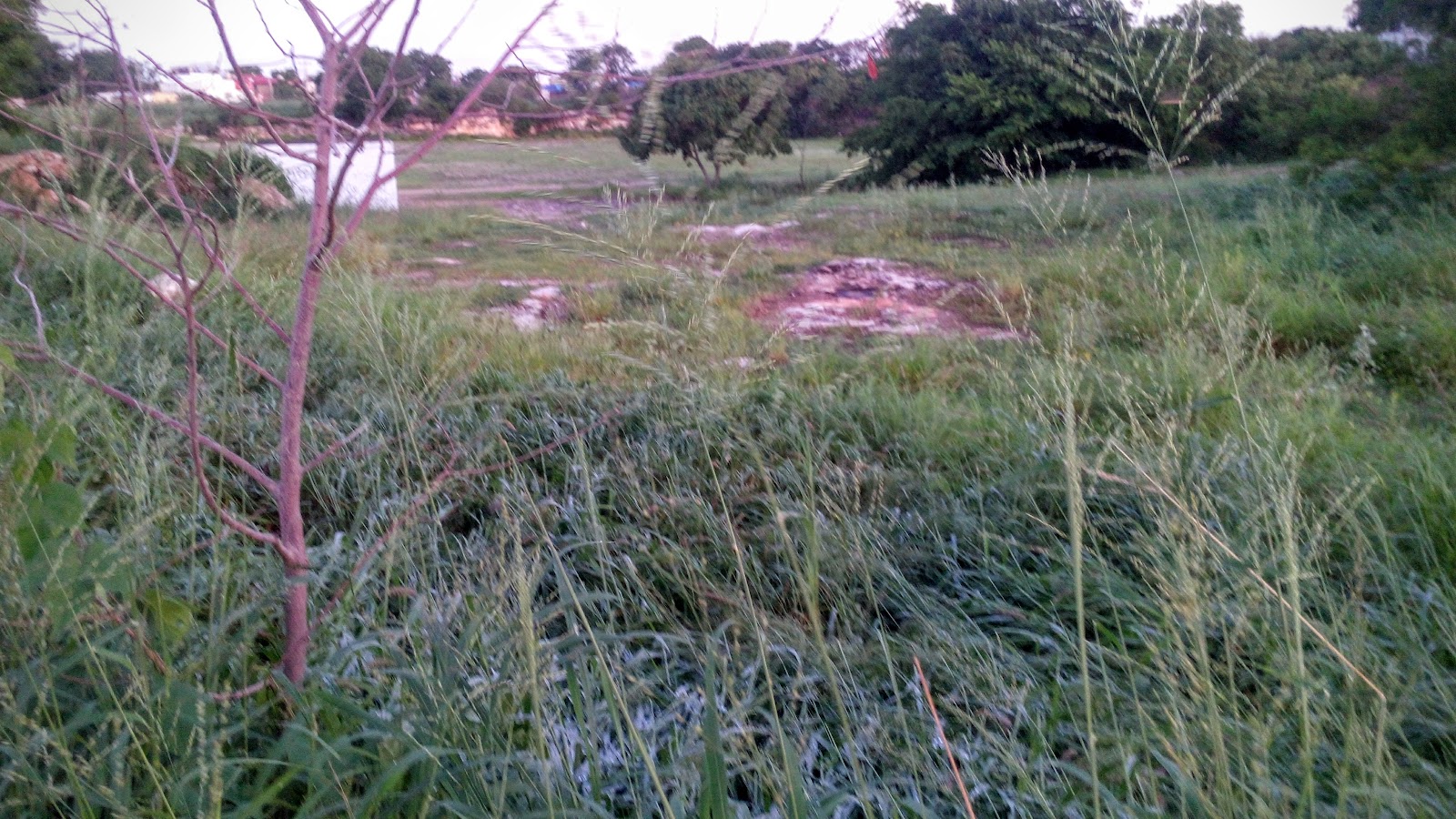 Parque deportivo chivirico