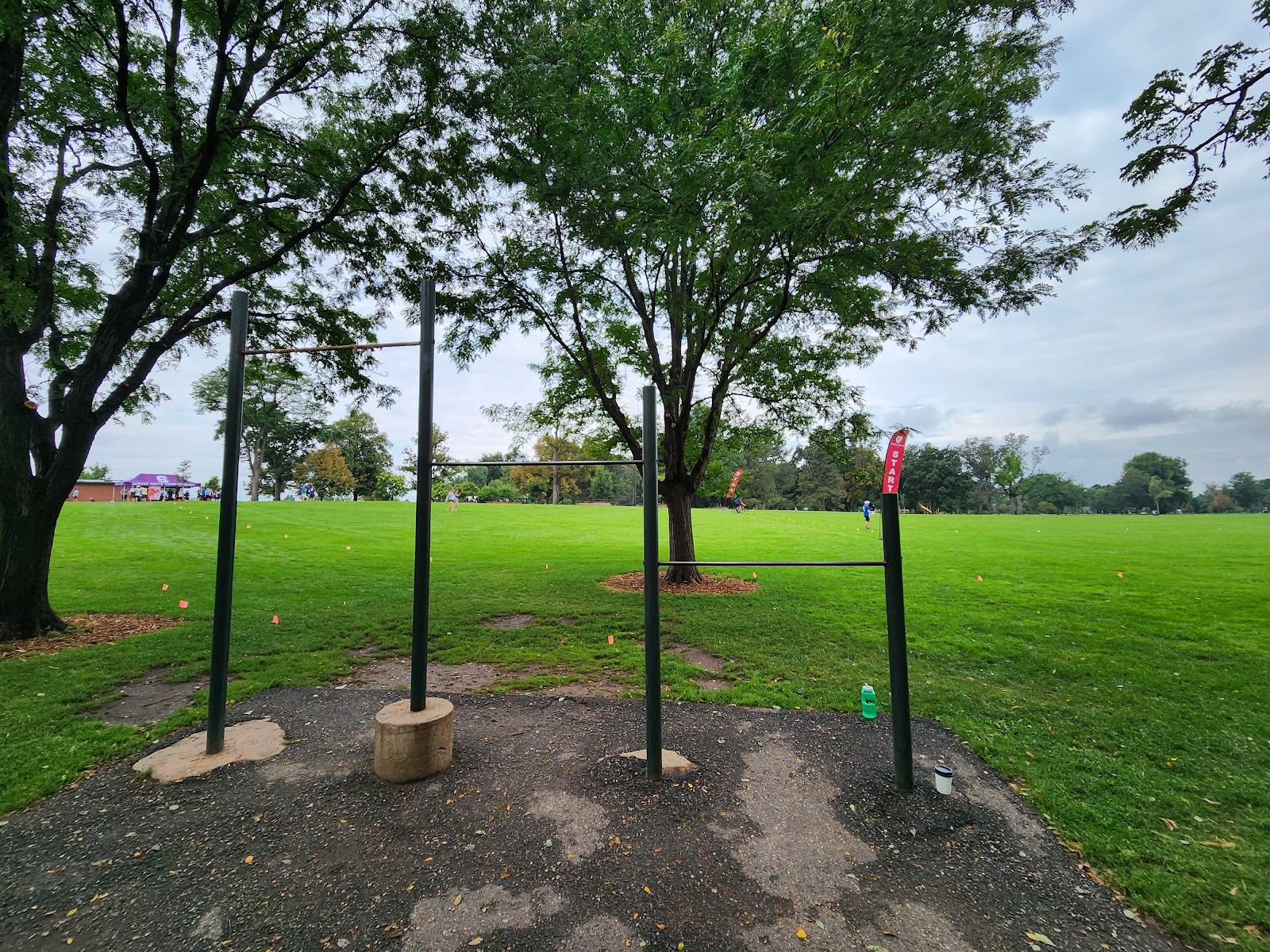 Pull up Bars
