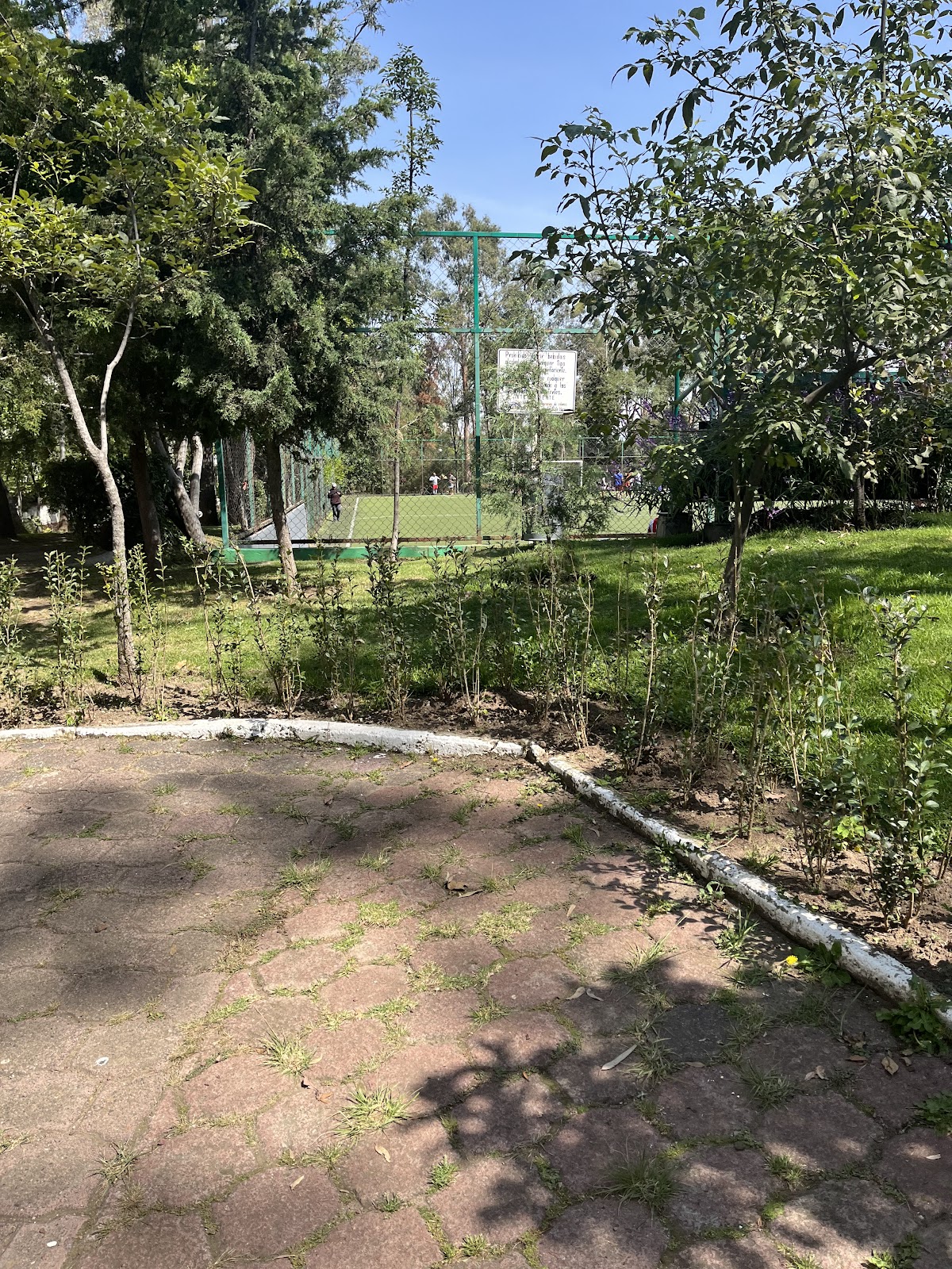 San Francisco de Asis Park