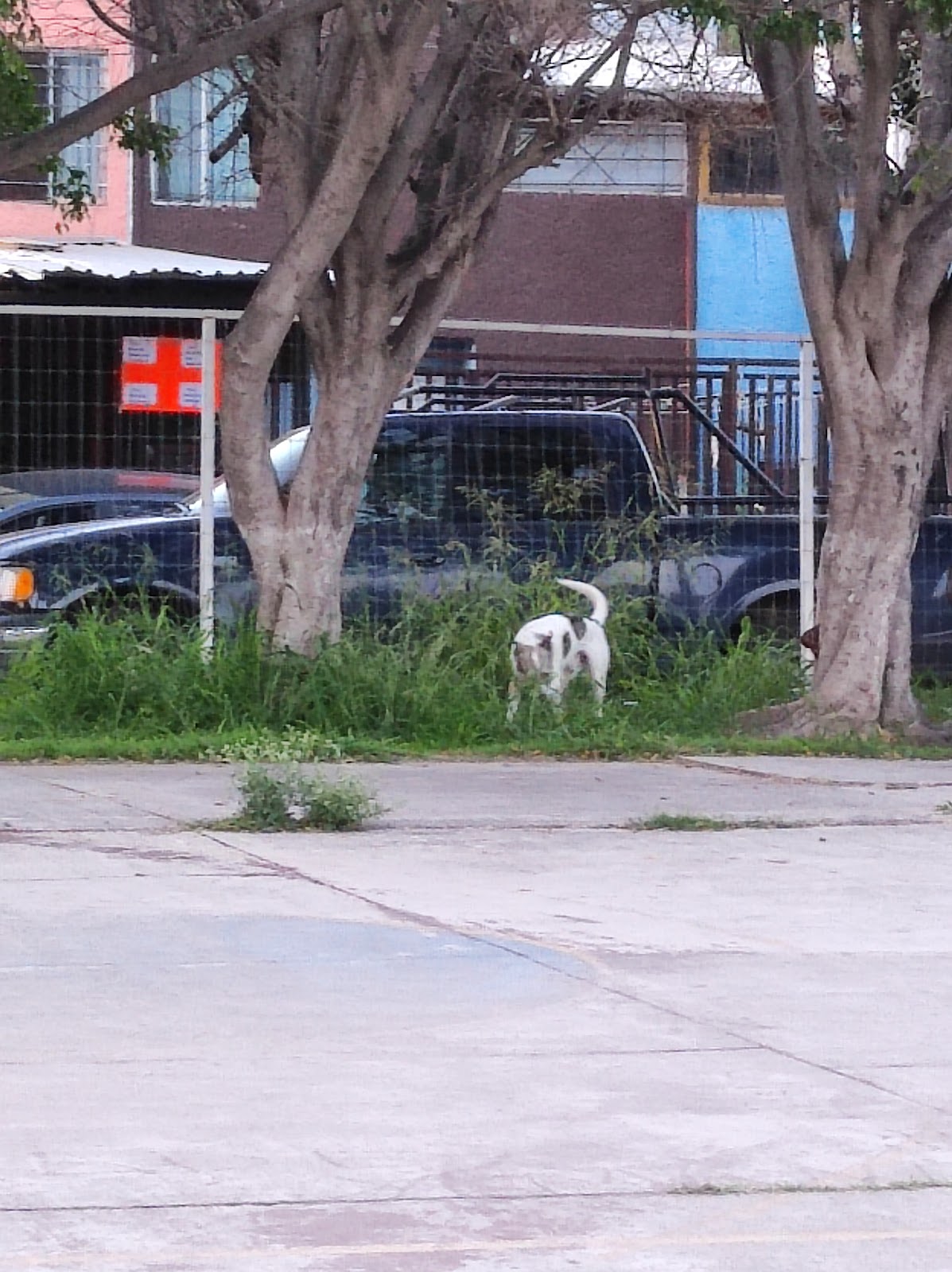 Satelite Park