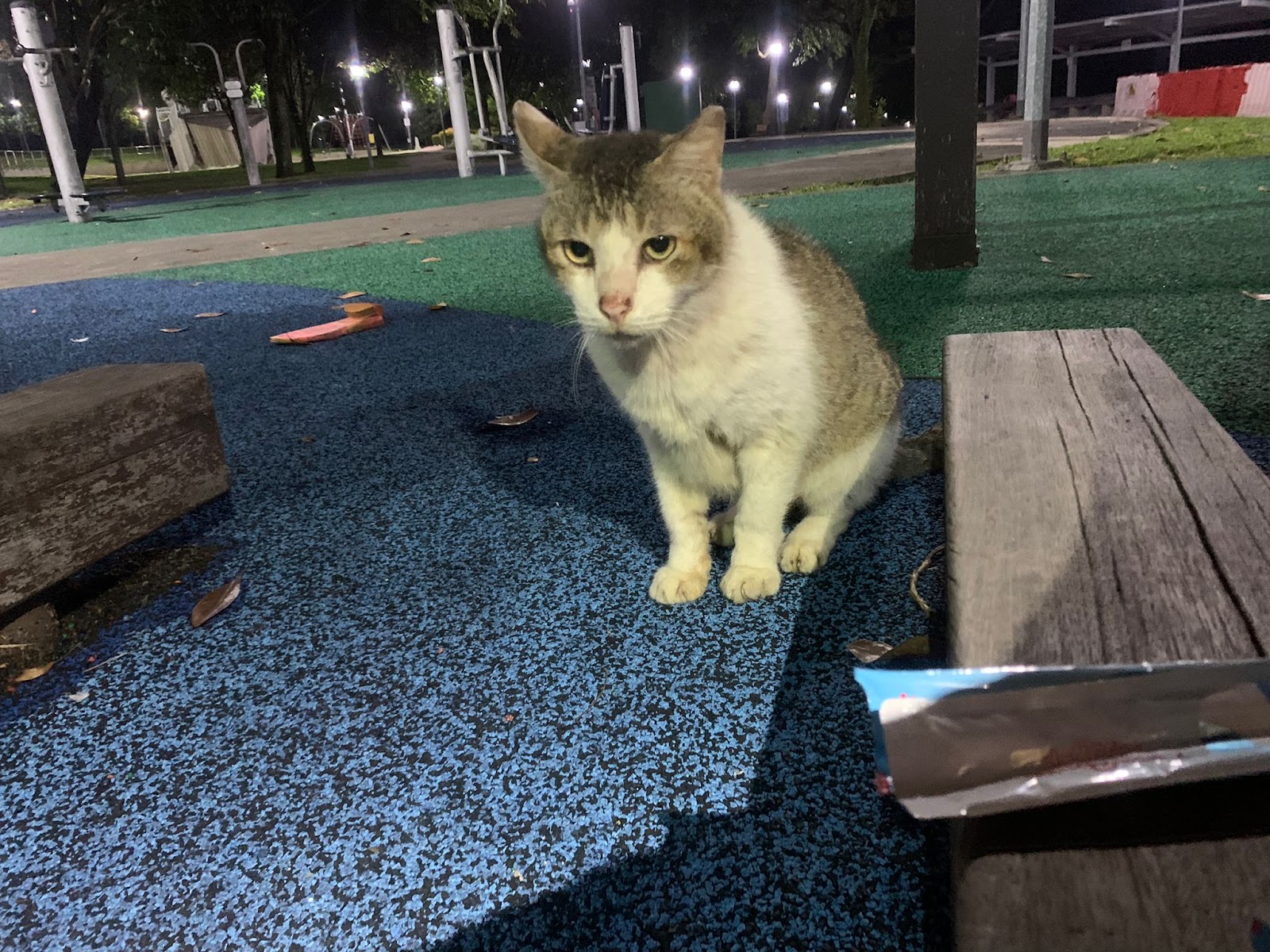 Sembawang Park Fitness Corner