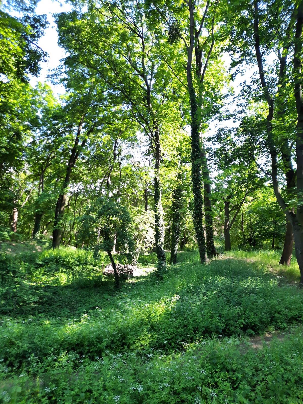 Sherwood Park Przyjaźni