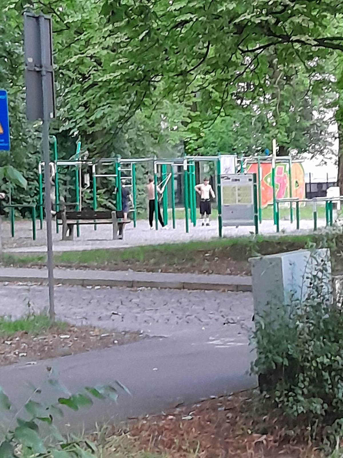 Siłownia kalisteniczna
