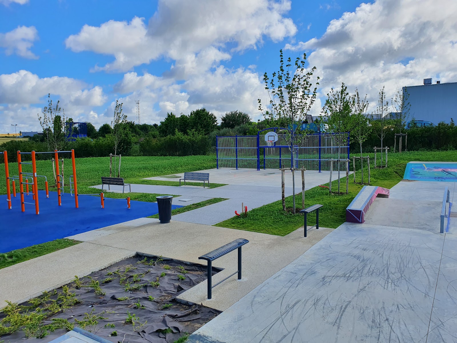 Skatepark d'Albert