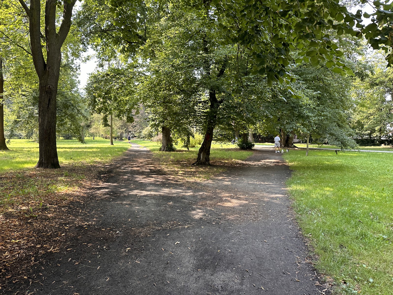 Skowroni Park