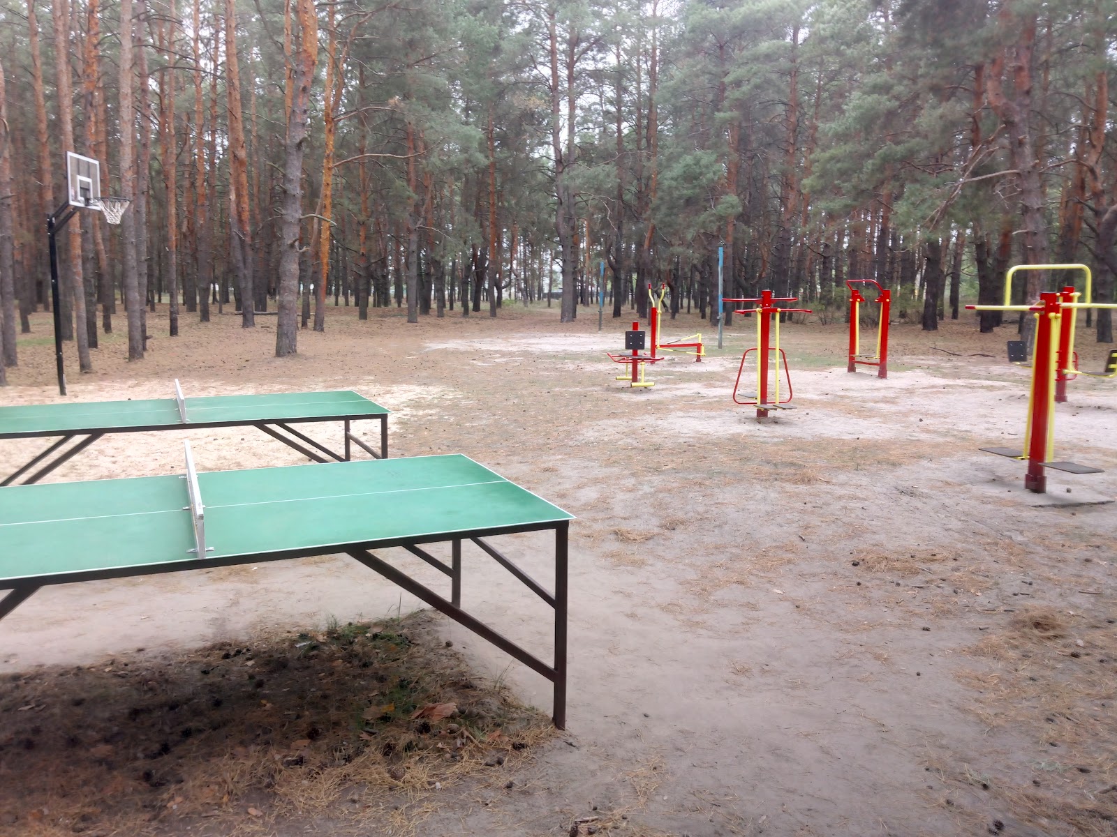 Sportyvnyy Maydanchyk