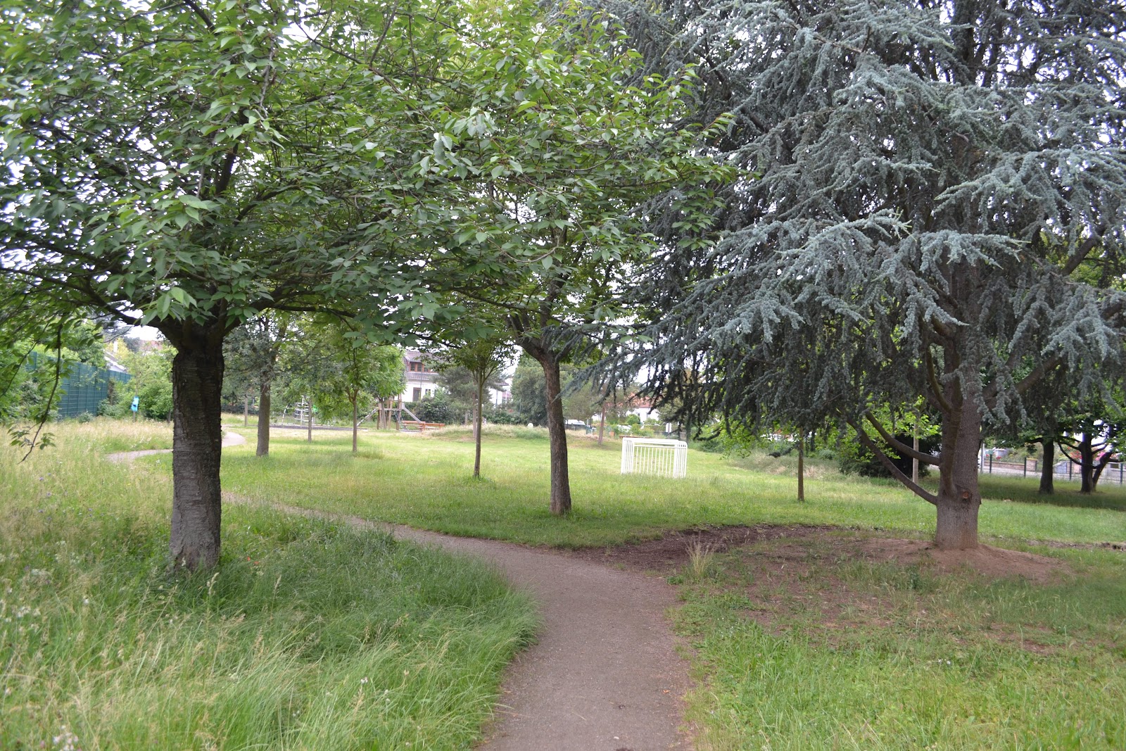Square de Reutenbourg