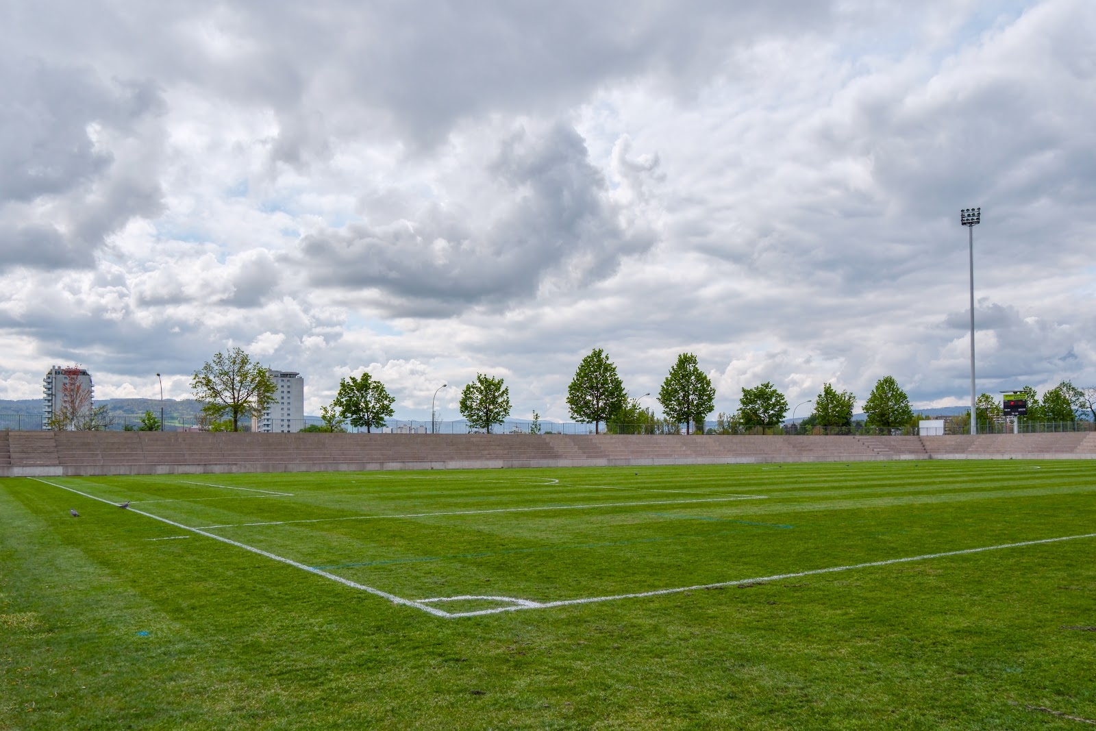 Stadion Rankhof