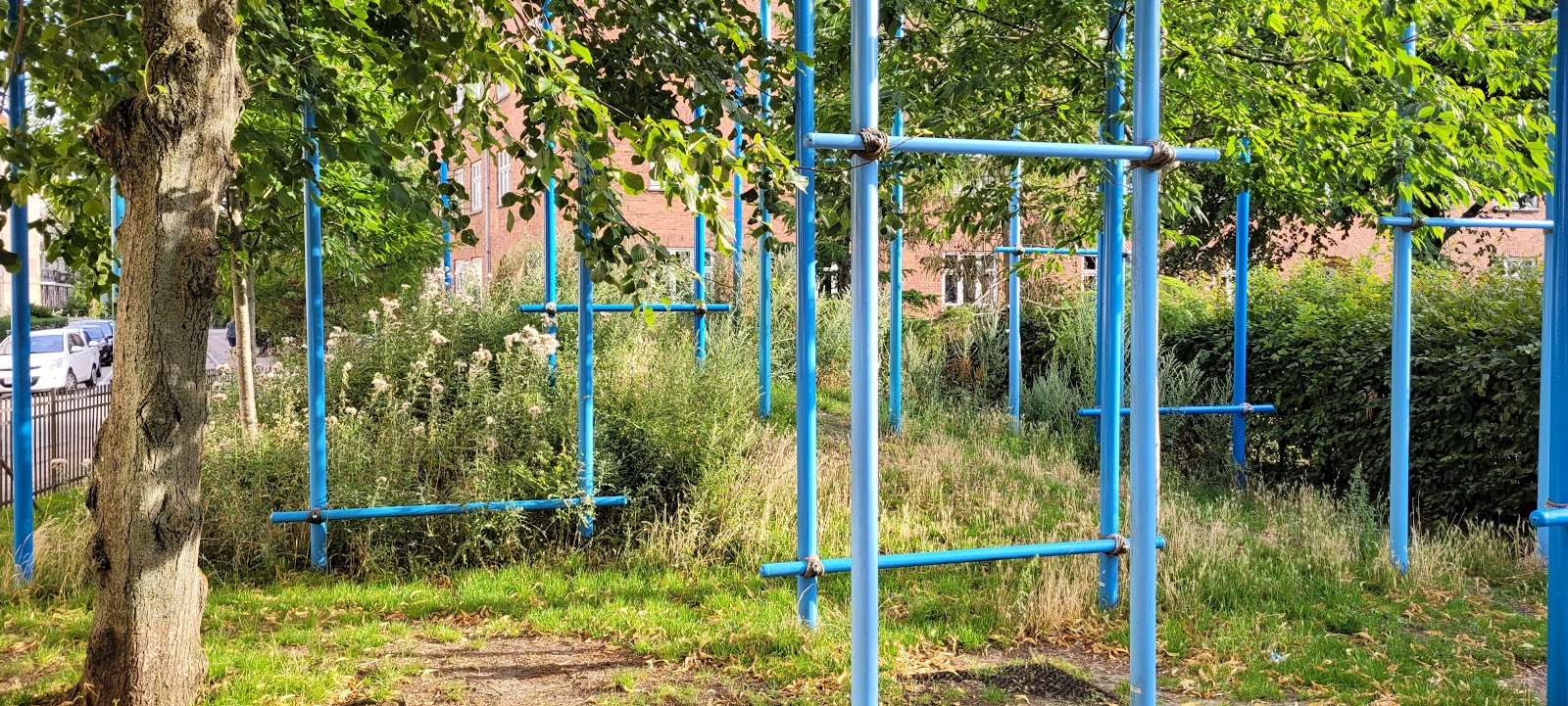 Street Workout /Rings Park