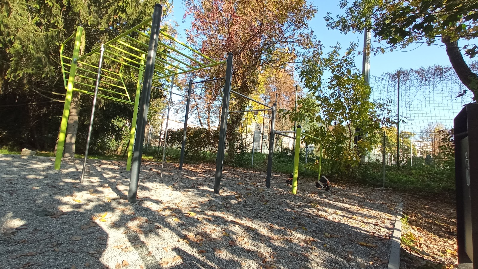 Street gym/workout