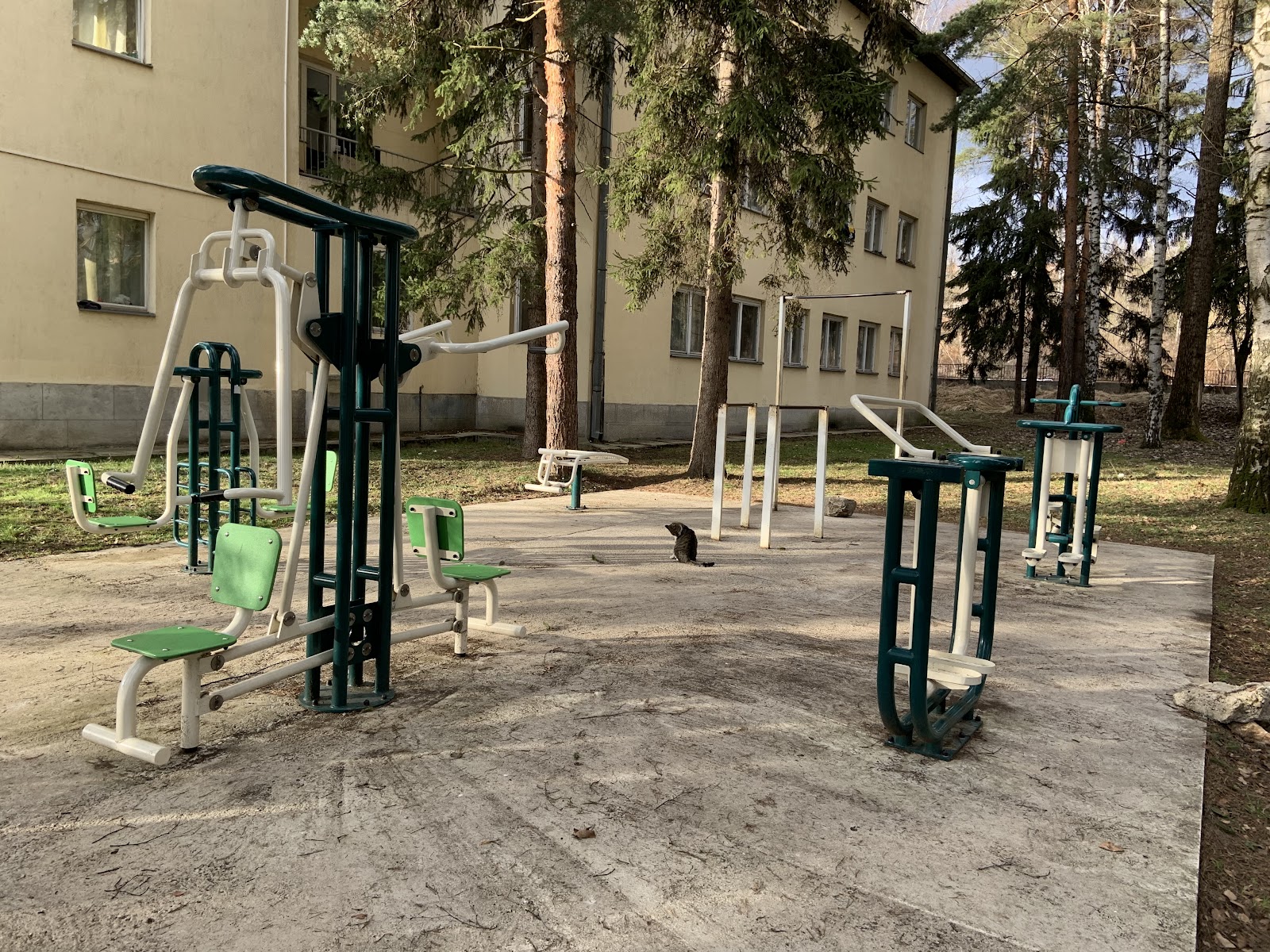 Street Workout Čiča