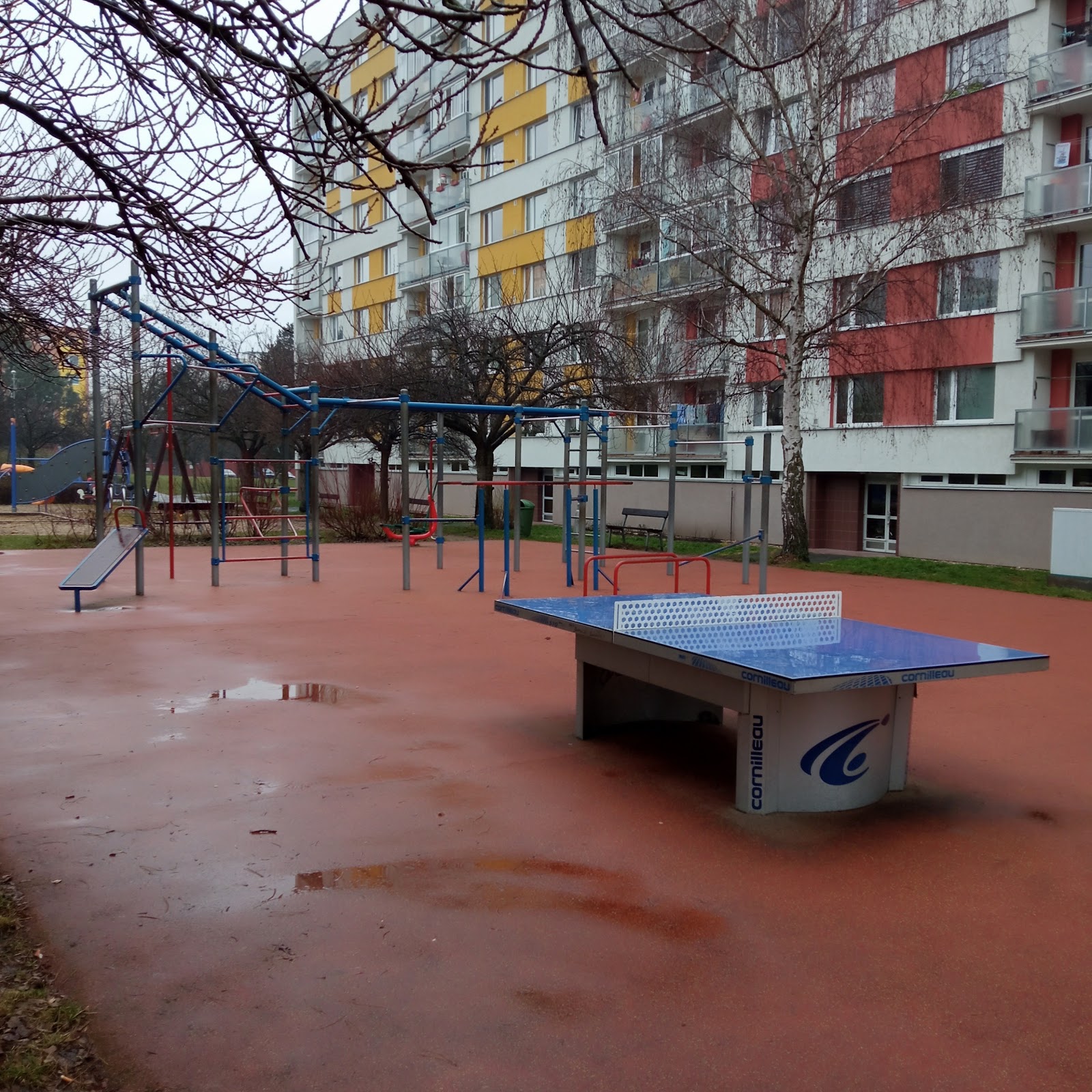 Street Workout Park Hvězda