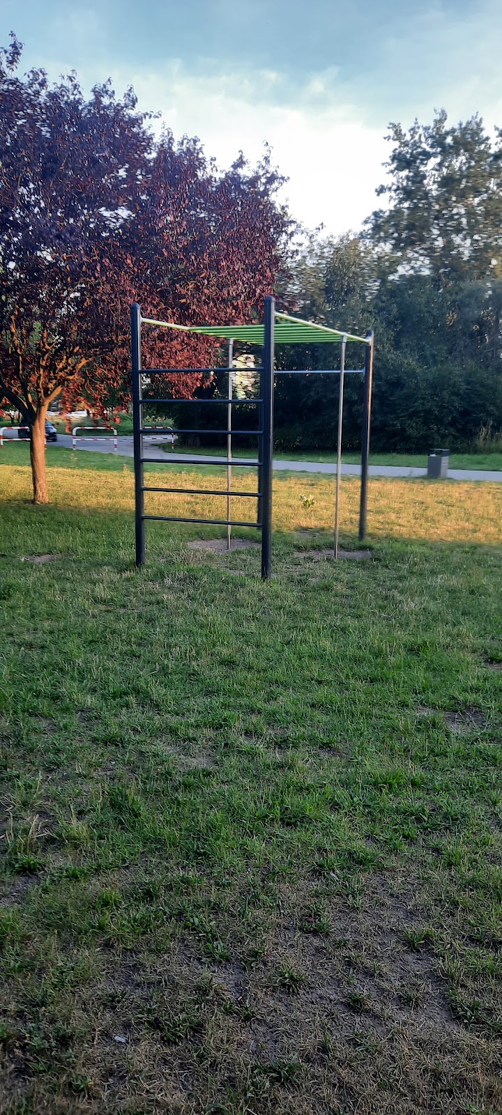 Street Workout