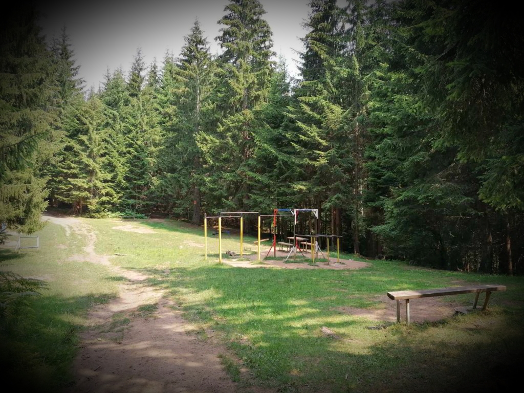 Street work out park "Goli1 Koran"