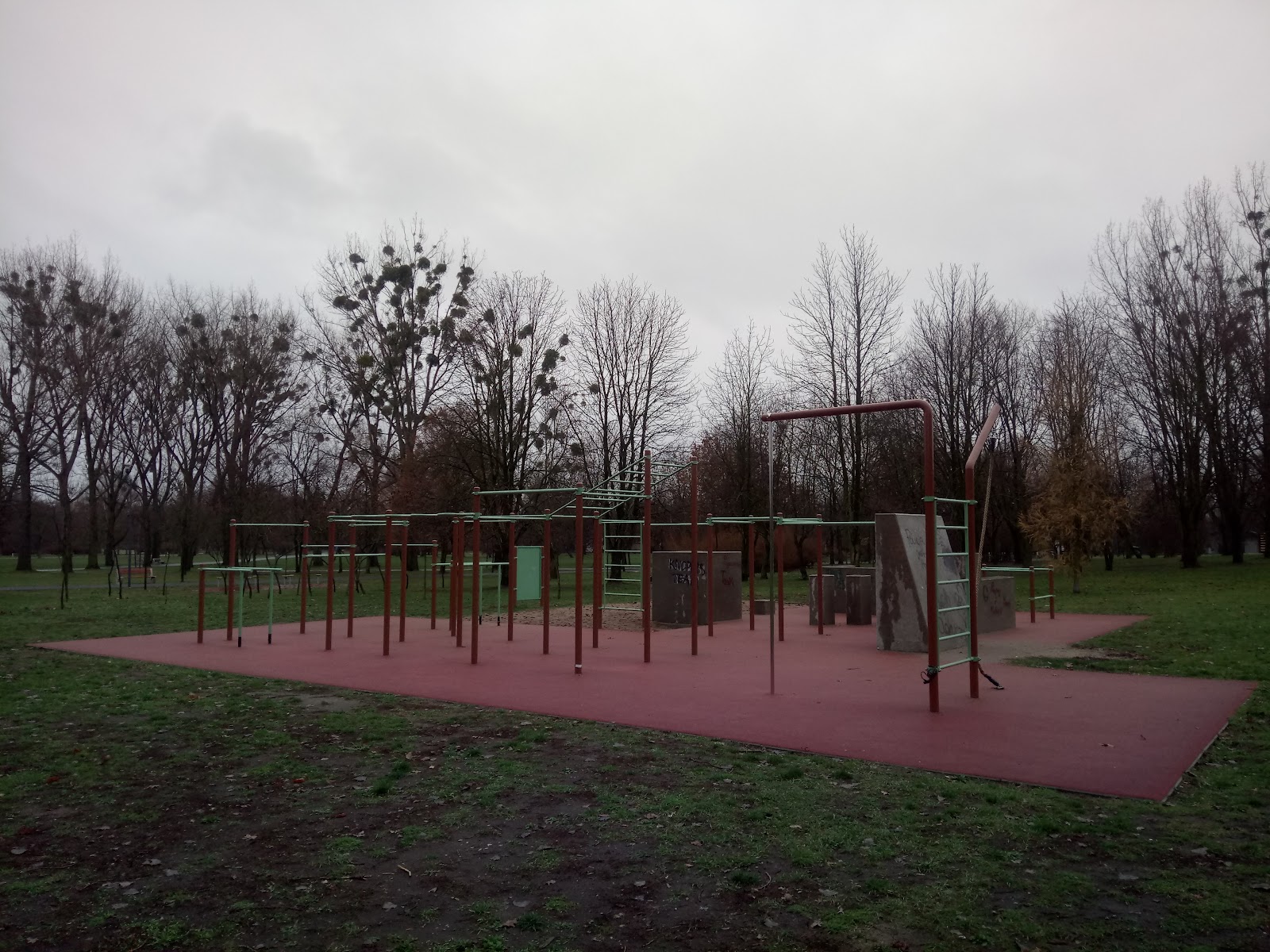 Street workout Wilda