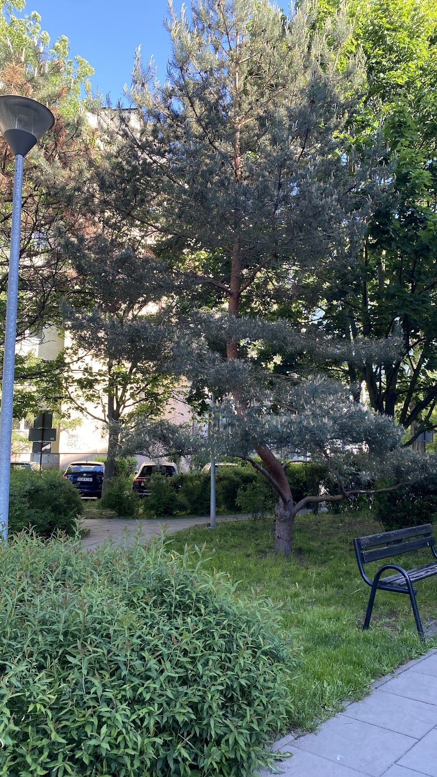 Street workout park