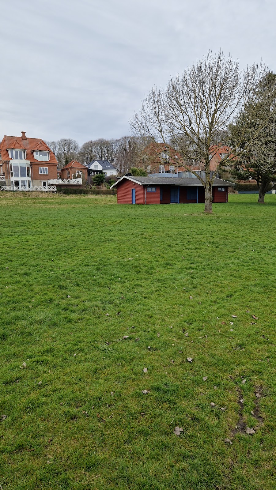 Streetworkout & Calisthenic Park Viborg