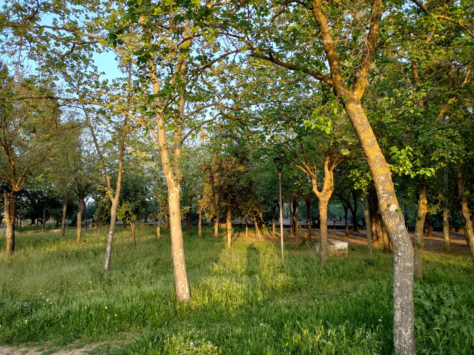 Tierno Galván Park