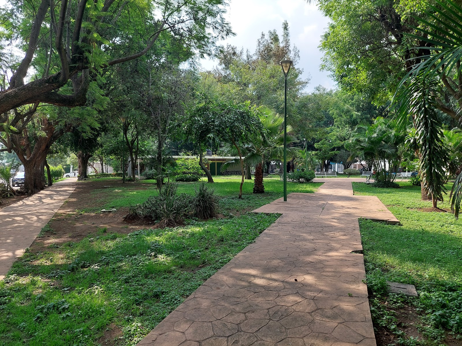 Tintorera Park
