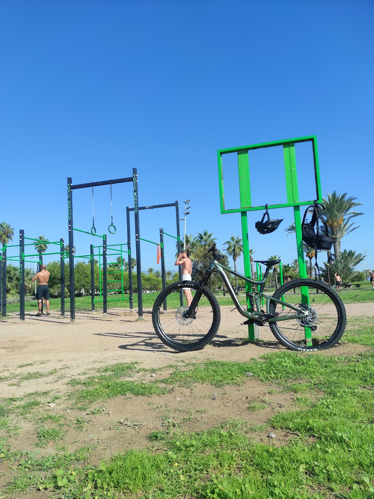 Toxic Workout