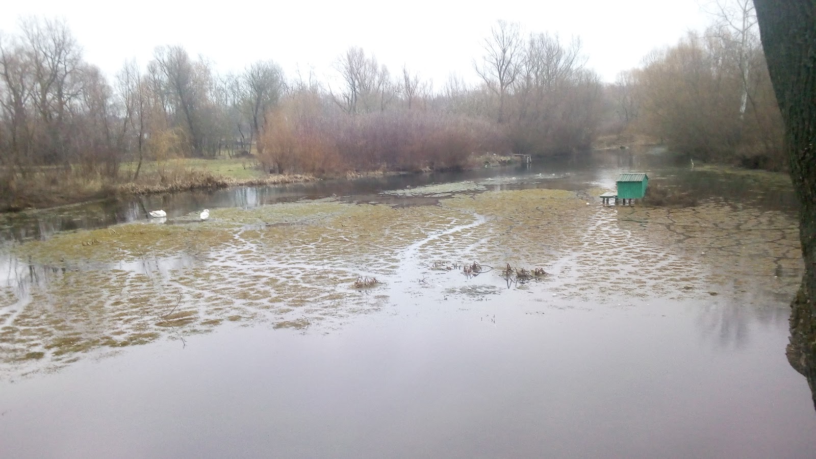 Trenuvalʹnyy Kort Fk Borivka