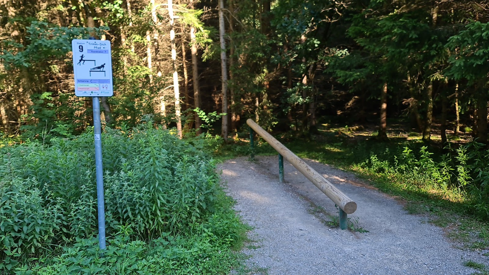 Trimm-Dich-Pfad: Station 9 Seitsprung