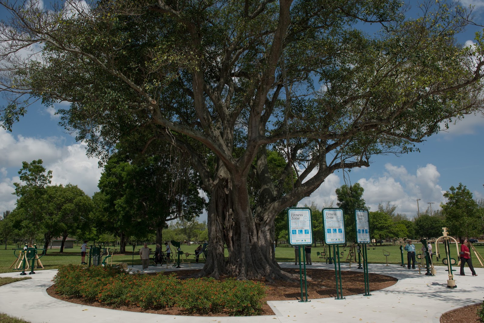Tropical Park