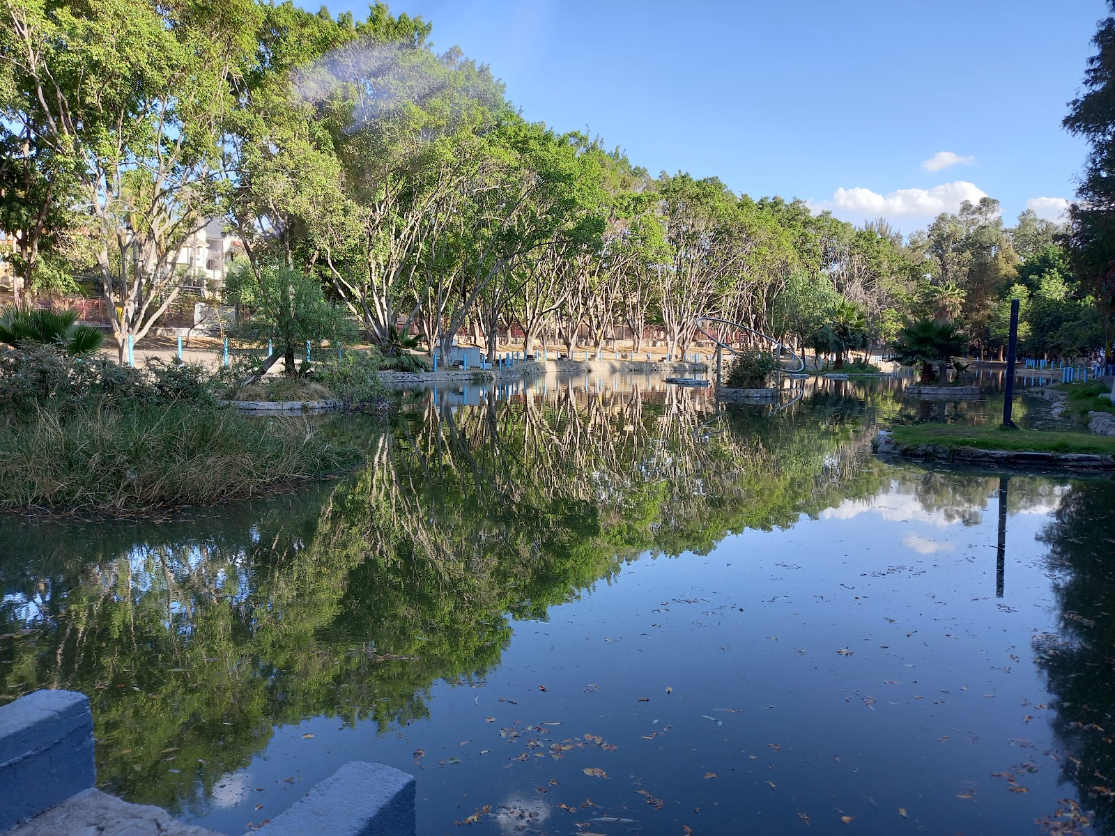 Tucson Park
