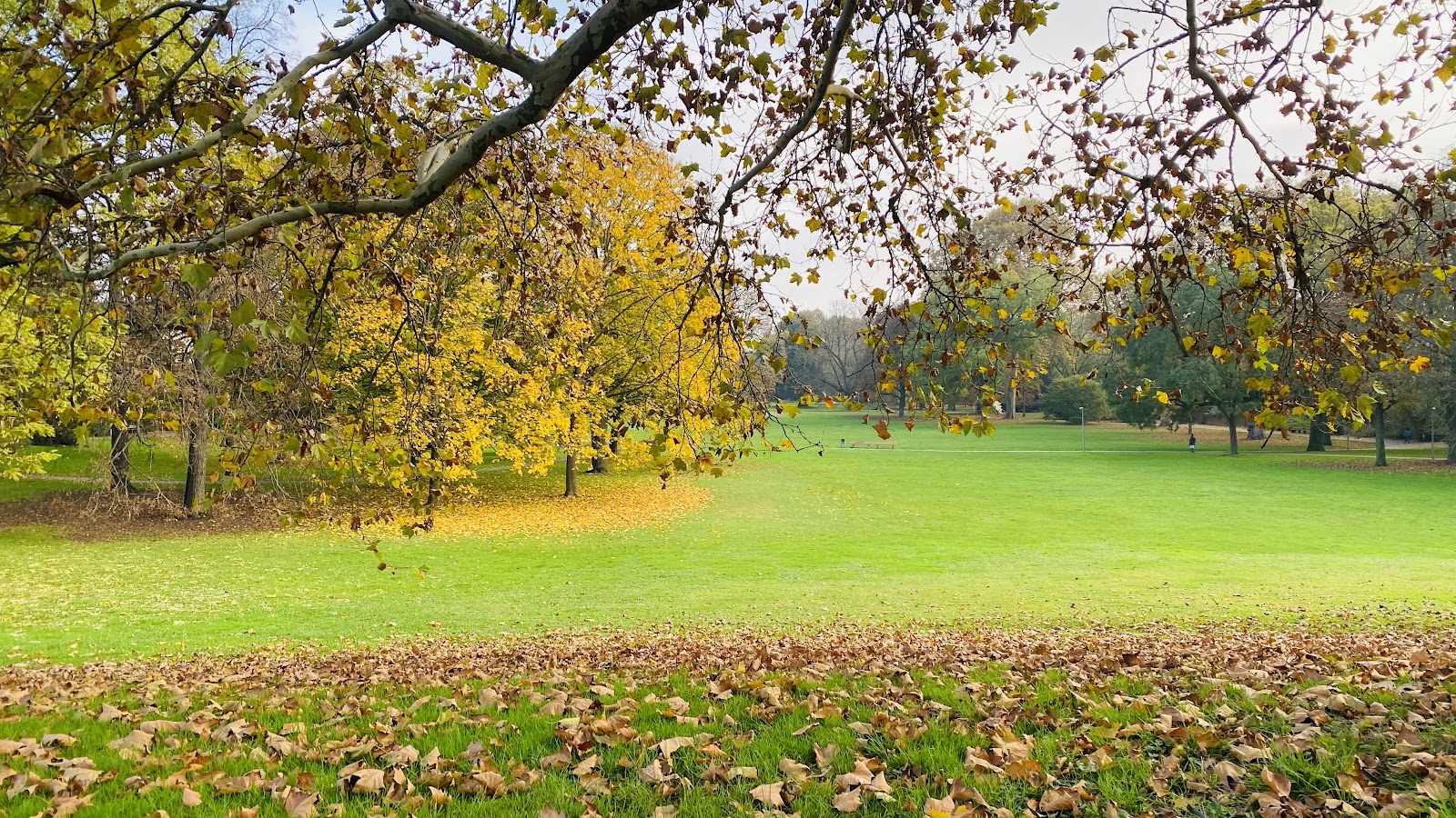 Unterer Luisenpark