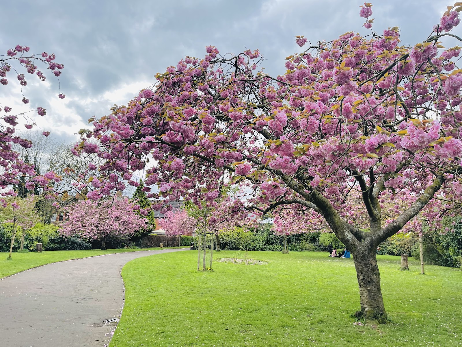 Victoria Park