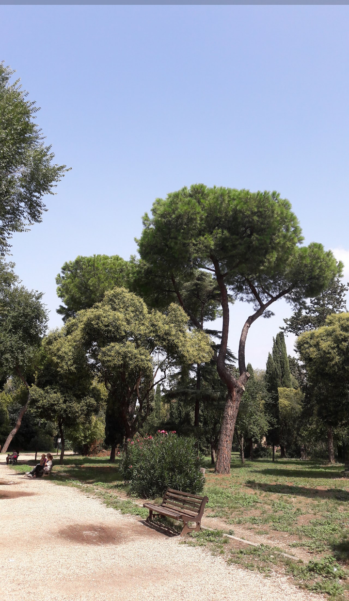Villa Gordiani Area Fitness/Allenamento Corpo Libero