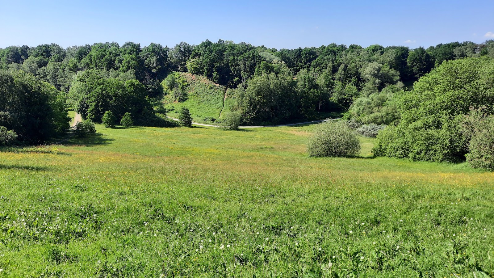 Waldpark Marienhöhe