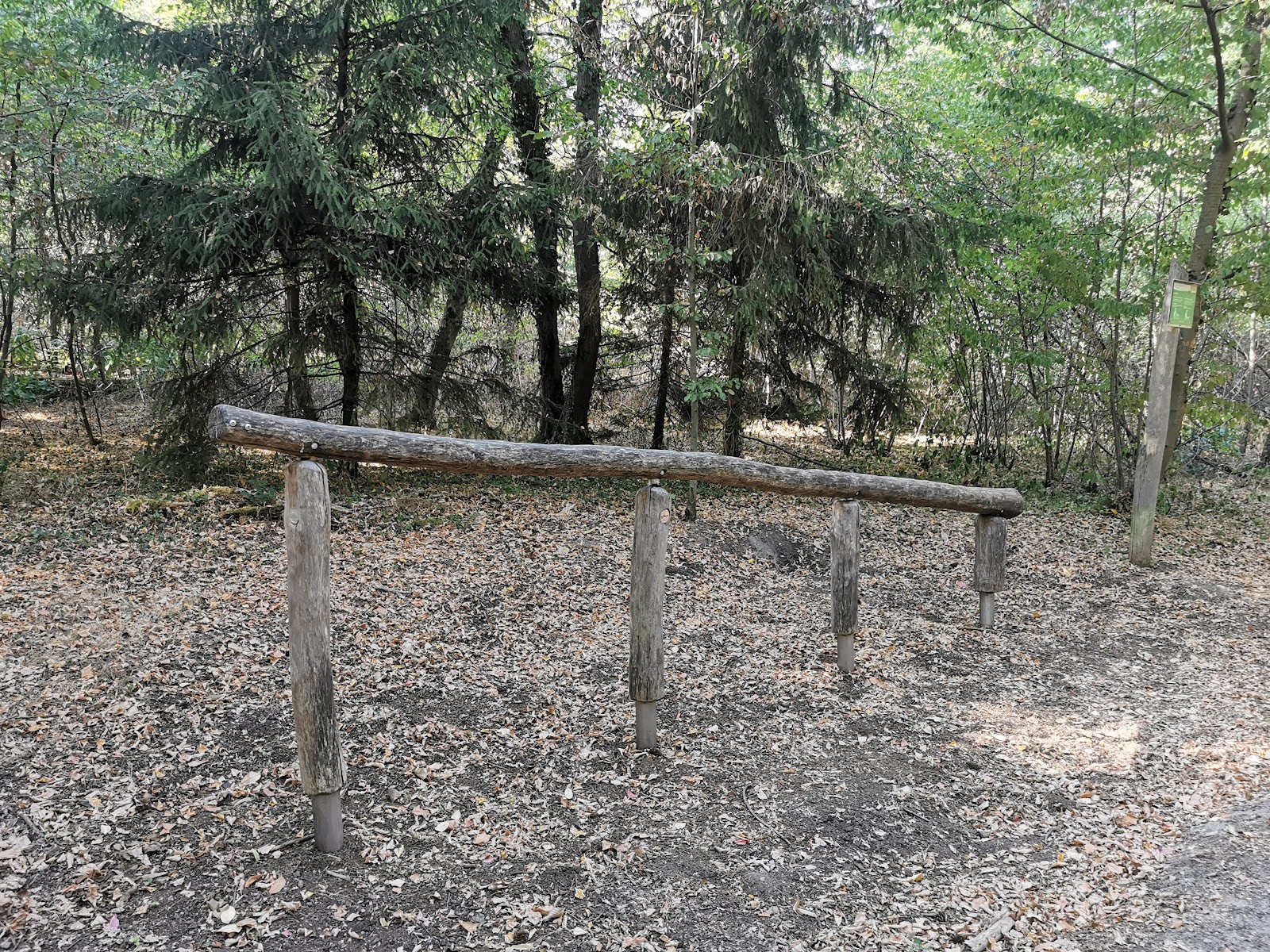 Waldsportpfad