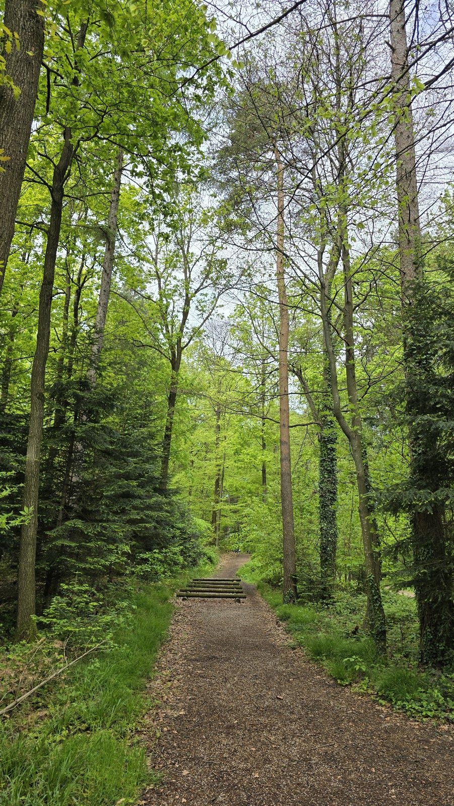 Waldsportpfad Varnhalt