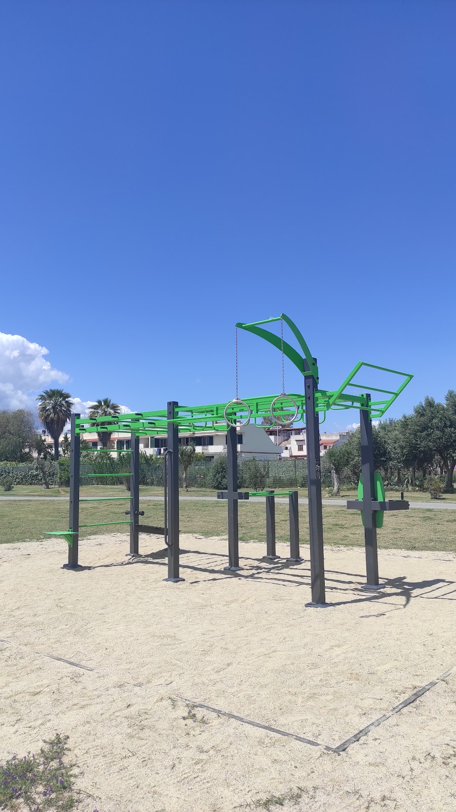 Attrezzature calisthenics