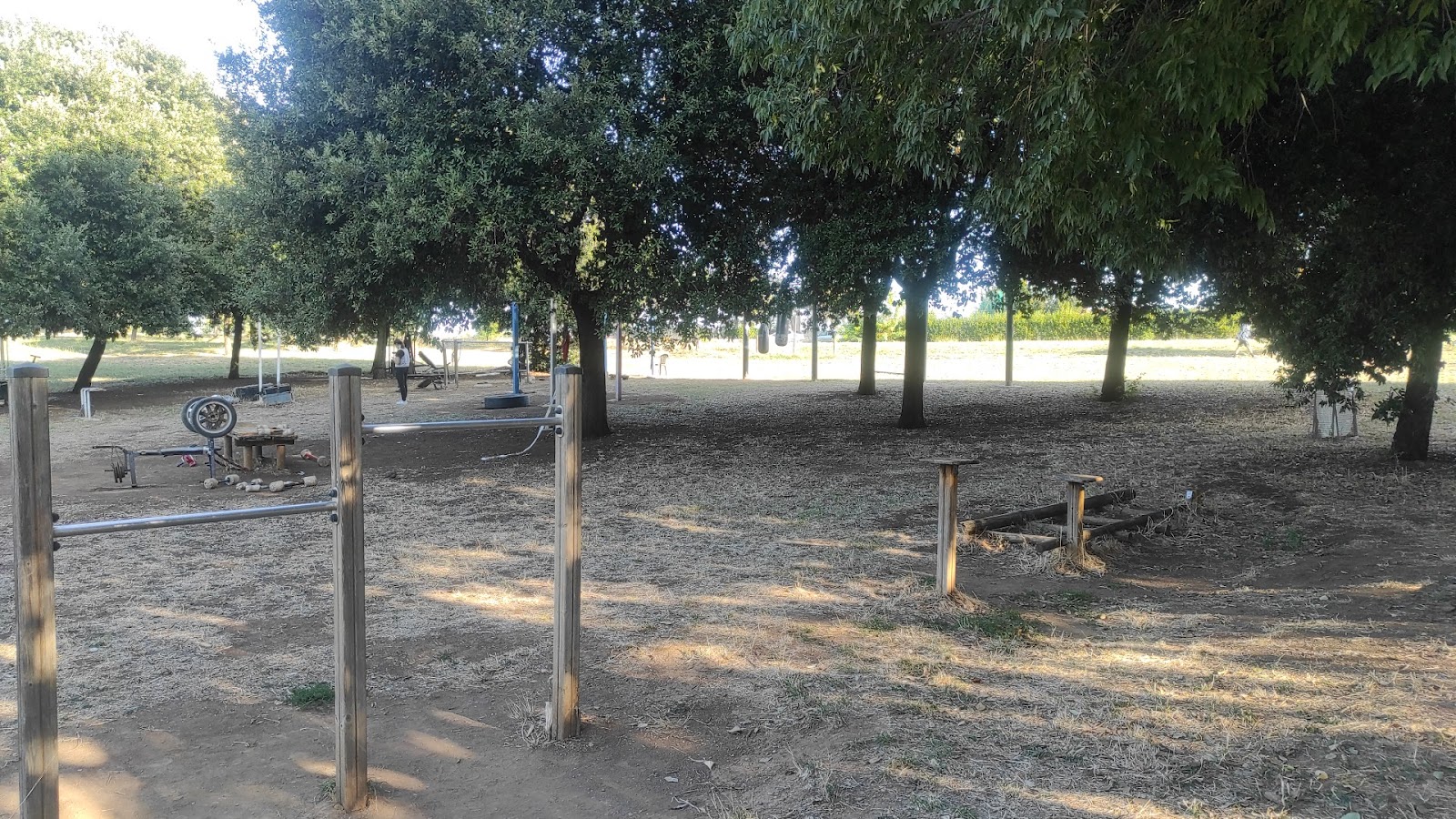 Attrezzi per Allenamento