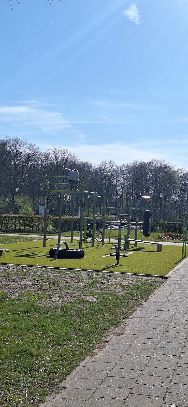 BarManiaPro® Calisthenics Park