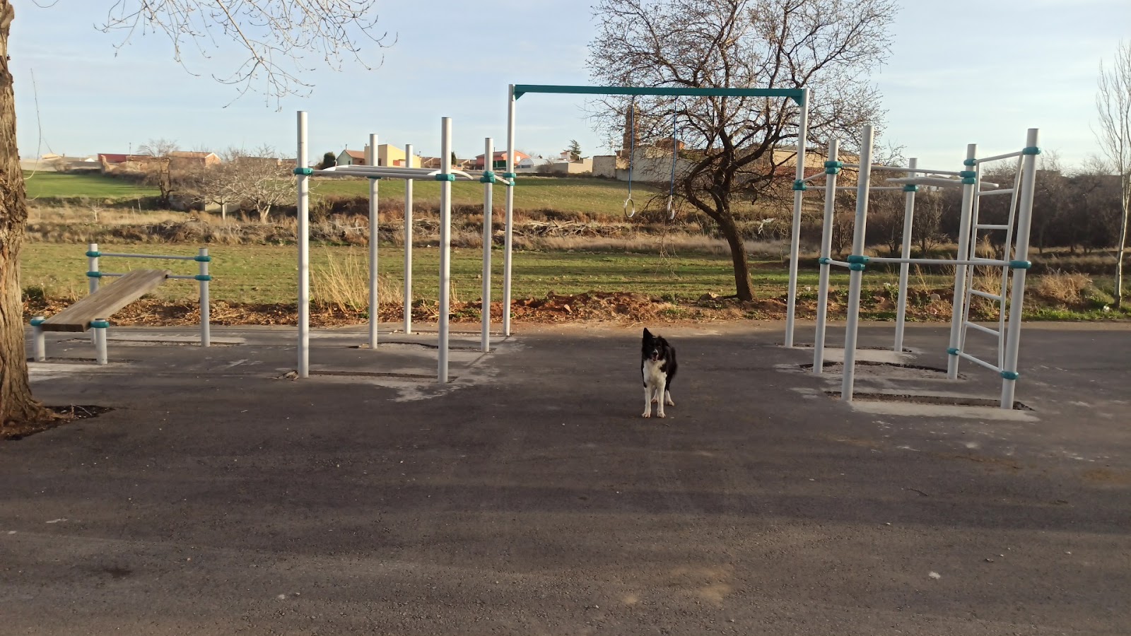 barras street workout Park