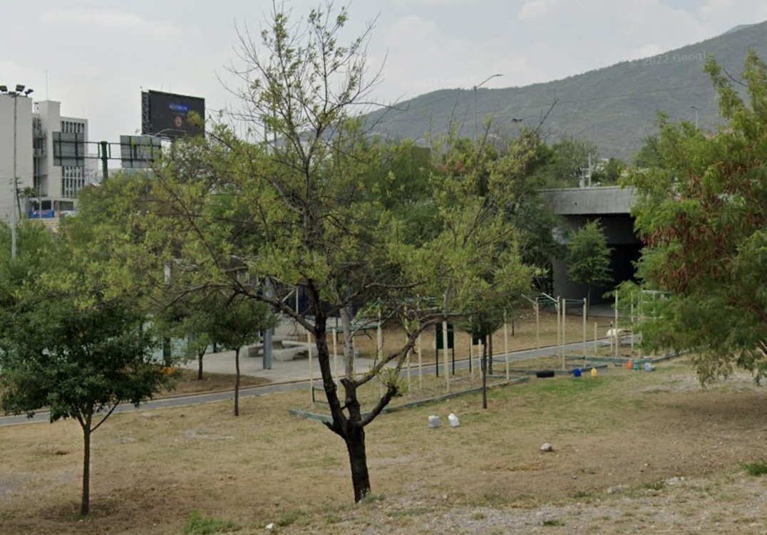 calistenia Park