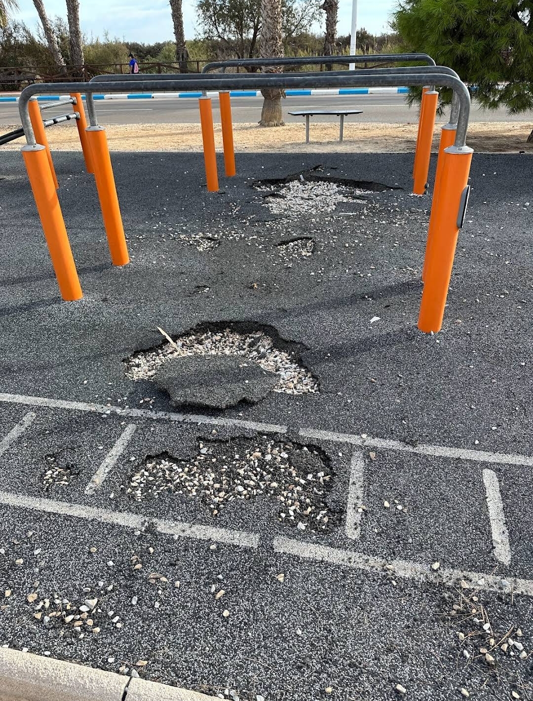 calistenia Park