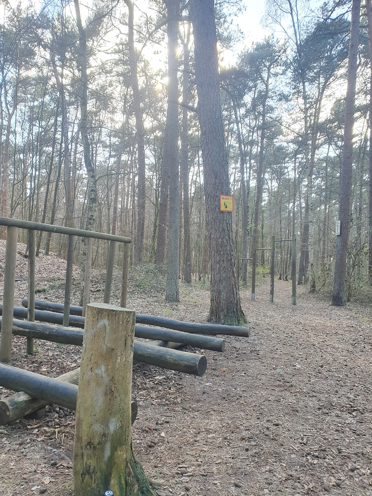 calisthenics Park