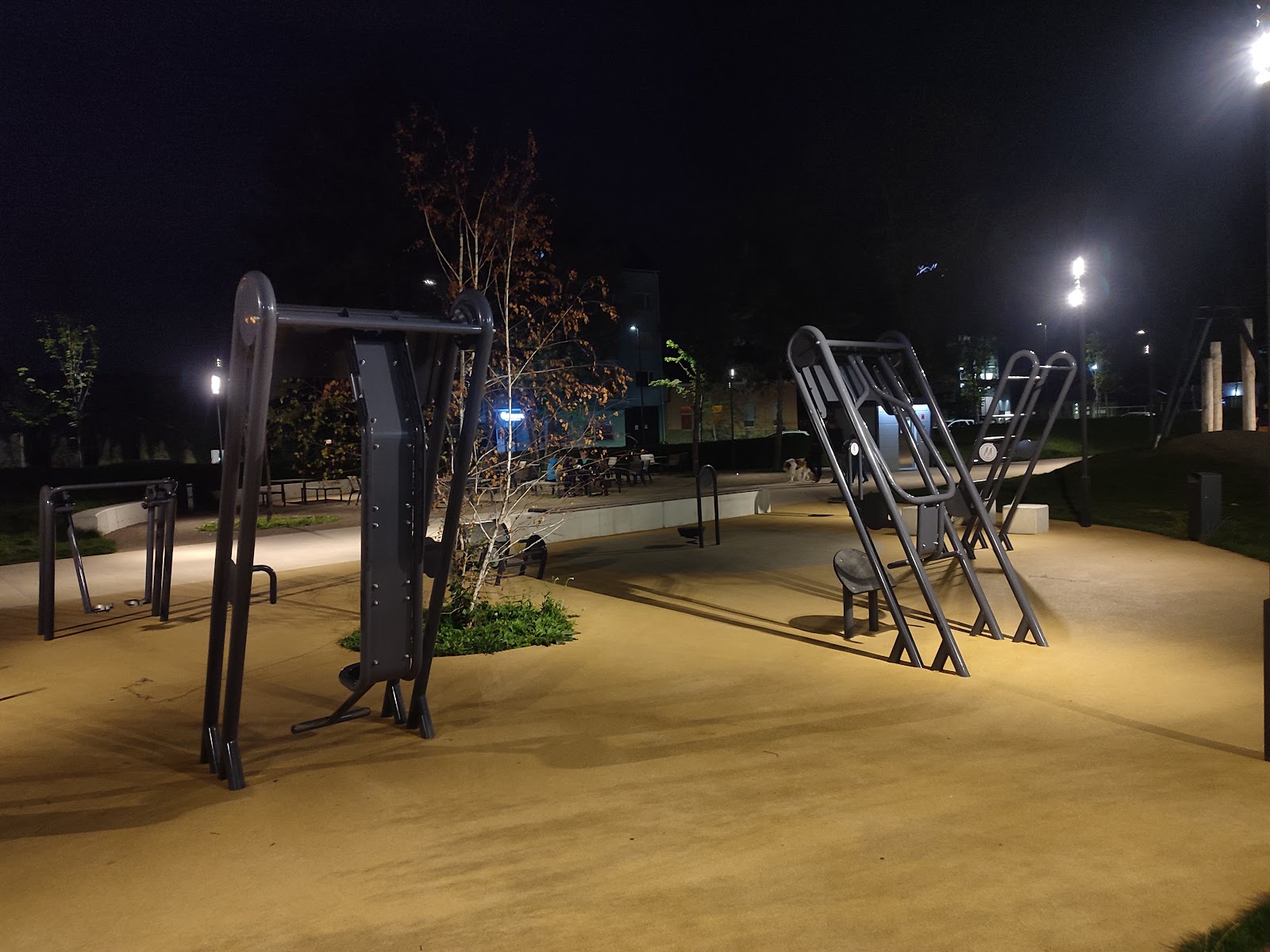 calisthenics workout park