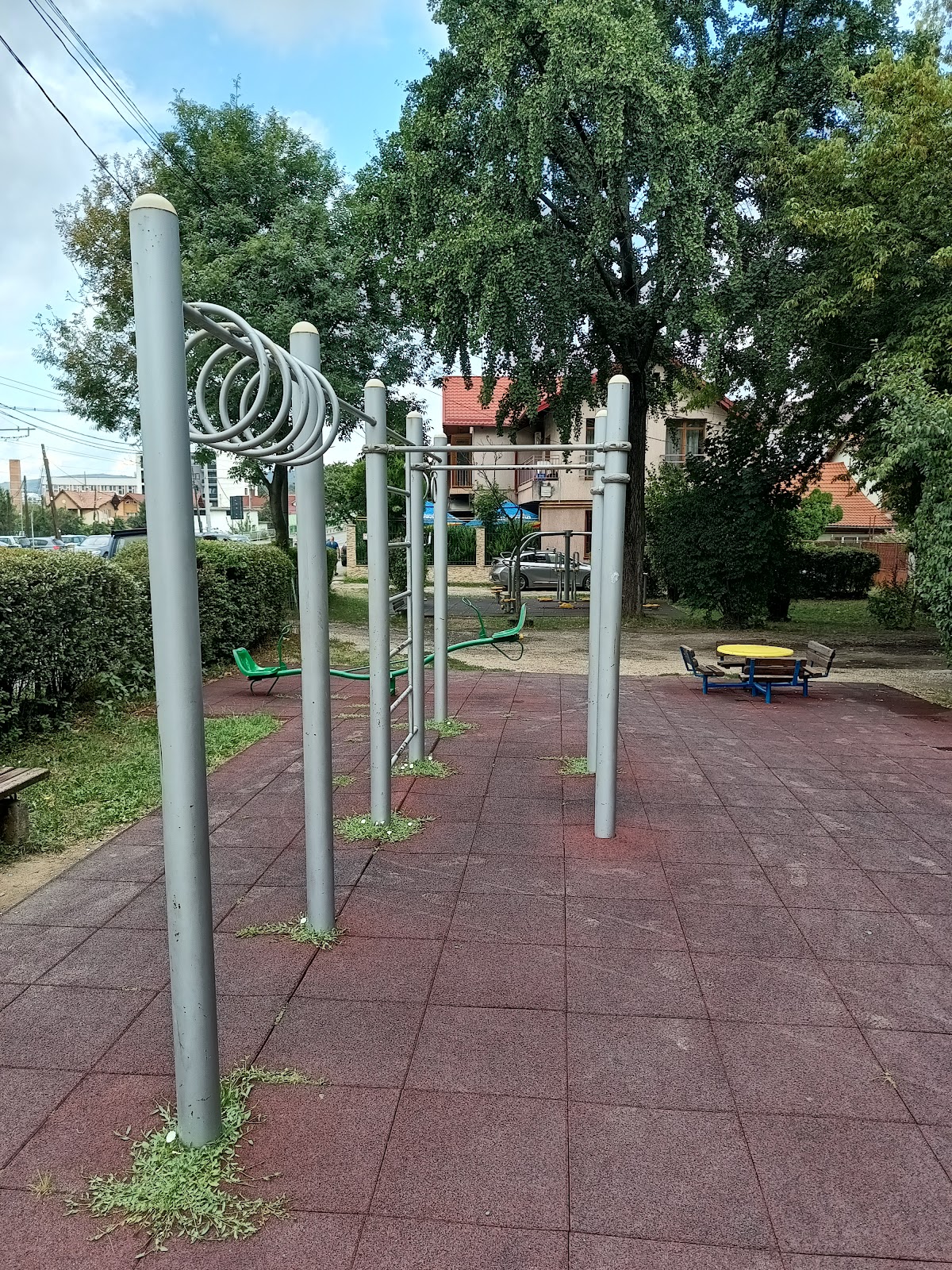 calisthenics workout park