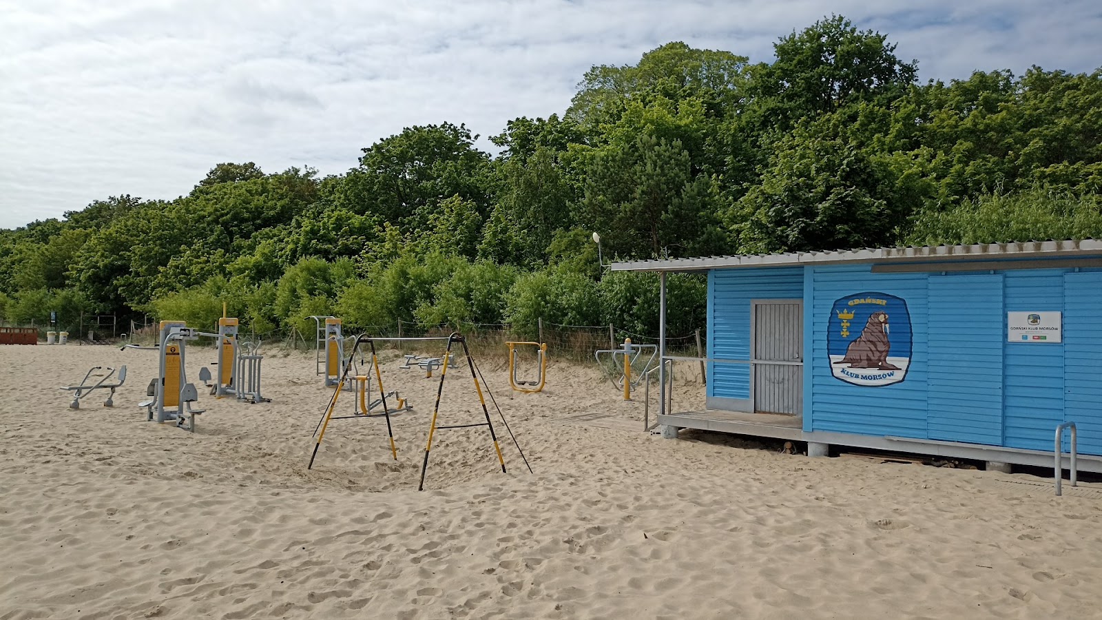 calisthenics workout park