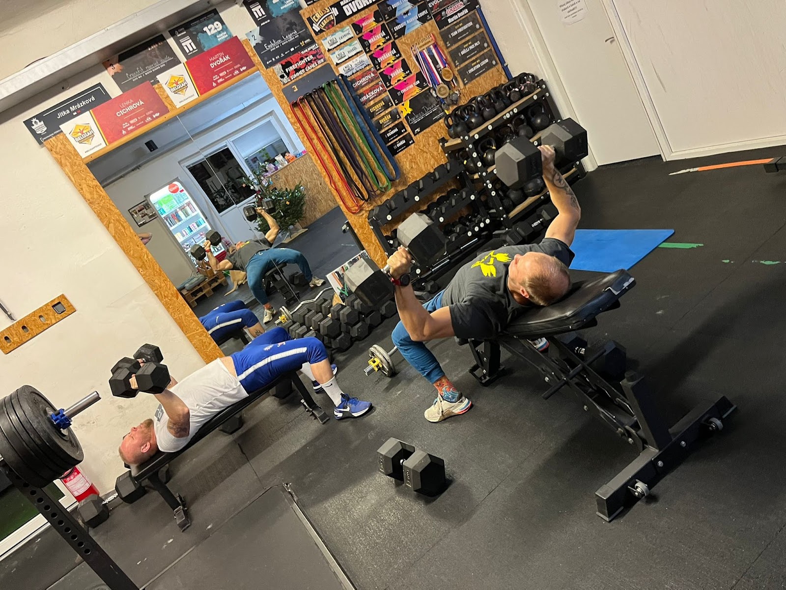 Evolution Gym