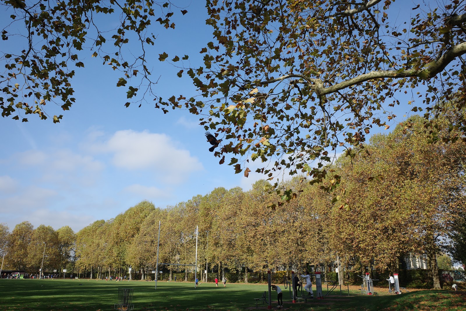 Outdoor Fitness UrbaFit