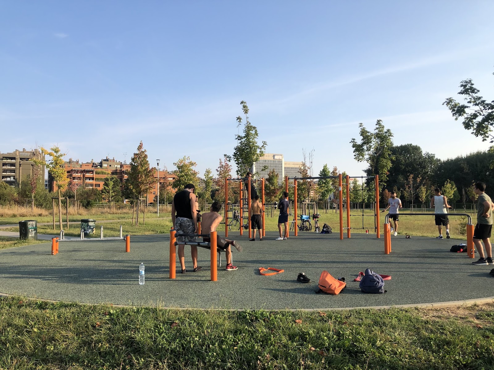 Palestra Pubblica "La Compagnia dell'Anello" | Parco Calisthenics