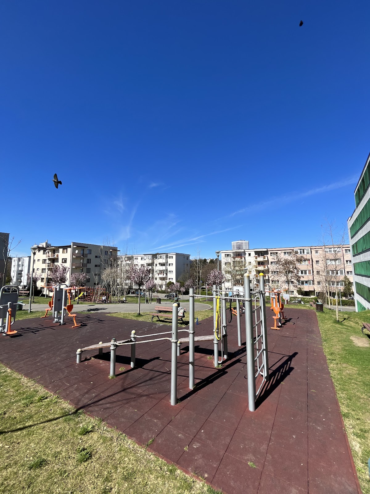 Parc de joaca / Calisthenics
